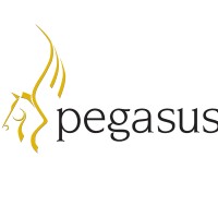 Pegasus Software logo - Similar company to Pegasus