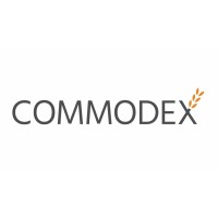 Commodex Ltd logo - Similar company to Comodex Consultancy