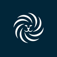 MYCHICJUNGLE logo - Similar company to Japal.It