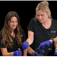 Medical Device Sales Institute (MDSI) logo - Similar company to Nellamoon