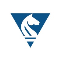 Special Investigations International logo - Similar company to Zero Shadows
