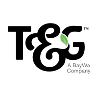 T&G Global Limited logo - Similar company to Service Foods