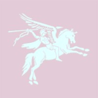 Pegasus Nursing Home Group logo - Similar company to Maf Infocom™