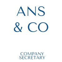 ANS & Co., Company Secretaries logo - Similar company to Pegasus Business Solutions