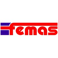 Femas srl logo - Similar company to M&B Engineering S.R.L.