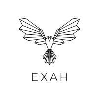 EXAH logo - Similar company to Cloud23 - Experience Excellence