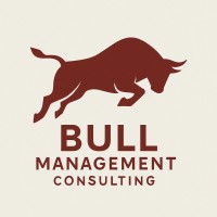 Bull Management Consulting logo - Similar company to Shin Kong Security