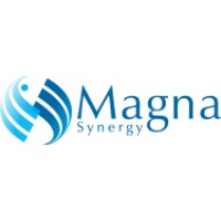 Magna Synergy Group