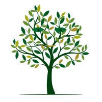 COMPENSE CARBONE logo - Similar company to Altereko - Studio De Communication Alternatif