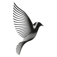 Blackbird Finance Limited logo - Similar company to Nichibo Group