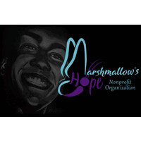 Marshmallow's HOPE logo - Similar company to 36Th District Court