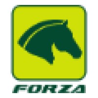 Rede Forza