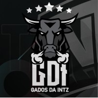 GDI - Torcida Organizada do INTZ logo - Similar company to Intz A2E