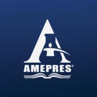 Amepres México logo - Similar company to Usedef