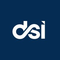 Dynamic Standards International (DSI) logo - Similar company to Shogun Cybersecurity