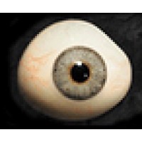 Glass Eye Pix