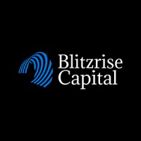 Blitzrise Capital Inc. logo - Similar company to Anyshift