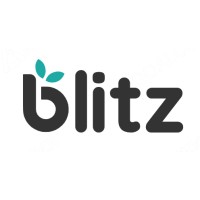 Blitz Group LLC logo - Similar company to Nvertical