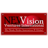 New Vision Ventures International logo - Similar company to Managed System Solutions