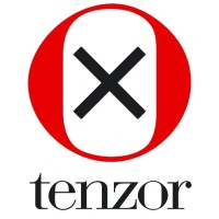 Tenzor sh.p.k logo - Similar company to Tenzor