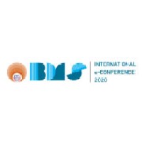 BMSECON logo - Similar company to Schnell Tech Global