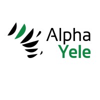AlphaYele logo - Similar company to Meraky Tech