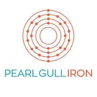 Pearl Gull logo - Similar company to Neore