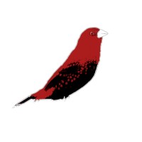 Strawberry Finch Games Llc