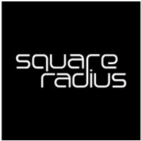 Square Radius India Pvt Ltd. logo - Similar company to Pandasatwork