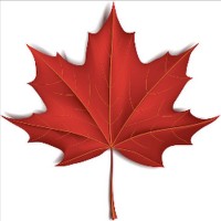 Maple-Edge Consulting Inc. logo - Similar company to Heliosophy