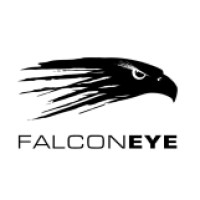 Falcon Eye logo - Similar company to Falcon Eye