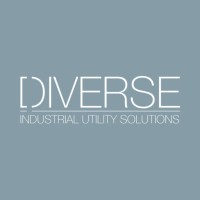 Diverse Supplies, LLC, logo - Similar company to Constelatio Management
