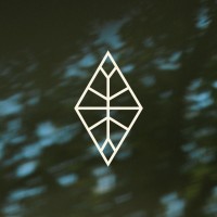 Taraneh logo - Similar company to Samavai