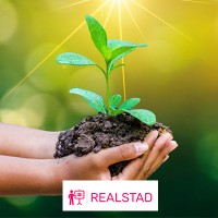 Realstad AB logo - Similar company to Bitzell Ab