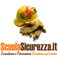 WST Europa Srl logo - Similar company to Soft Skill Per La Sicurezza