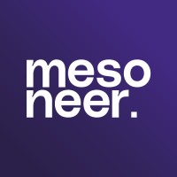 mesoneer logo - Similar company to Futurify