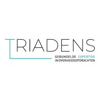 Triadens logo - Similar company to Webcube