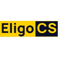 Eligo Creative Services Pvt Ltd logo - Similar company to Web Tech Masters
