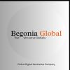 Begonia Global logo - Similar company to Infowave