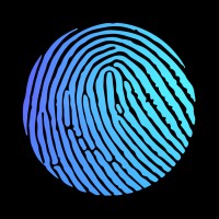 Blueprint Studio logo - Similar company to Blueprint