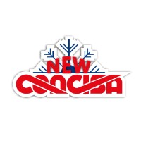 New Concisa S.L. logo - Similar company to Puelche S A