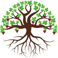 Vitis Lean logo - Similar company to Claimair