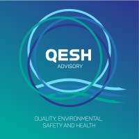 QESH Advisory Services (Pty) Ltd logo - Similar company to Qesh