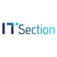 IT Section logo - Similar company to Bws Iot