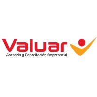 Valuar Perú logo - Similar company to Instituto Iberotec