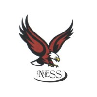 New Eagle Security Services logo - Similar company to Wings Security & Allied Services Pvt. Ltd.