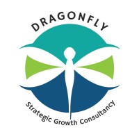 DRAGONFLY Strategic Growth Consultancy logo - Similar company to Campfire Hotel