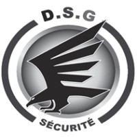 D.S.G FRANCE Sécurité logo - Similar company to Dsg