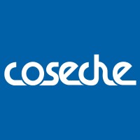 Automotriz Coseche logo - Similar company to Bootic