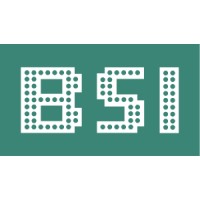 Business Systems International Pvt Ltd. logo - Similar company to Sugar N' Spice